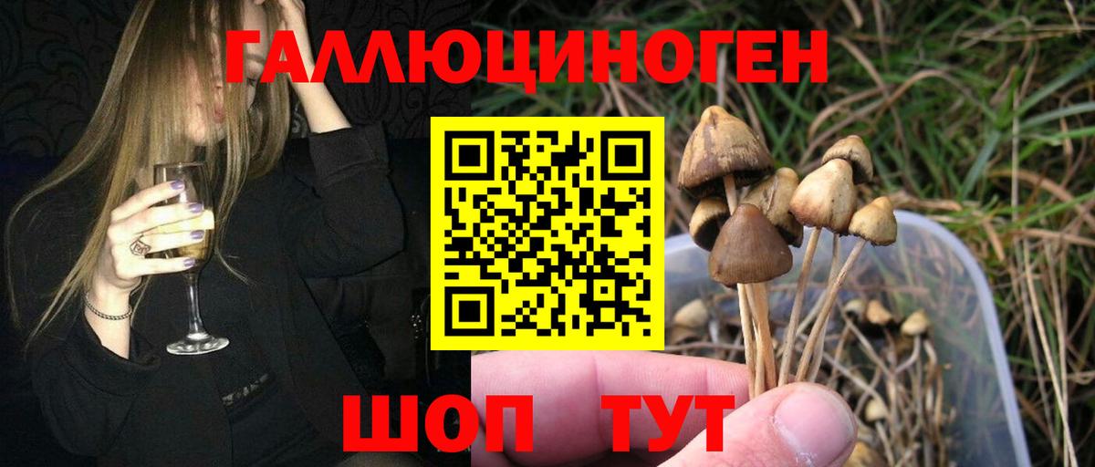 Галлюциногенные грибы прущие грибы  Вход с VPN  Воронеж 
